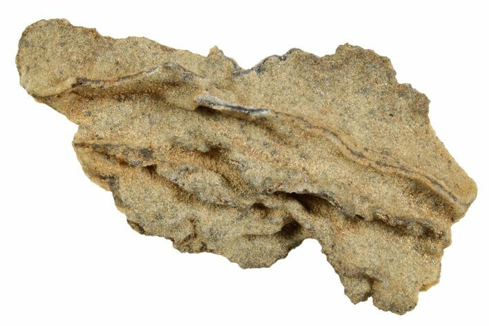 Fulgurite - Petrified Lightning #366352